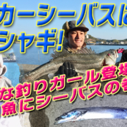 ランカーシーバスに大ハシャギ_太刀魚指4本80シーバス_天草龍ヶ岳・大矢野