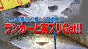 ランカーシーバスと寒ブリGet!!-天草西海岸で魚に遊ばれる