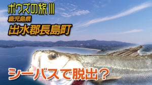 ボウズの旅Ⅲ 【シーバスで脱出できる？】 鹿児島県長島