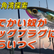 天草羊角湾探索「どでかい奴がビックプラグに食らいつく