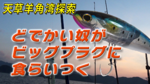 天草羊角湾探索「どでかい奴がビックプラグに食らいつく