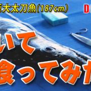 錦江湾の187cm巨大太刀魚を捌いて食ってみる