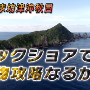 南薩摩坊津沖秋目ロックショアで青物攻略